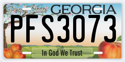 GA license plate PFS3073