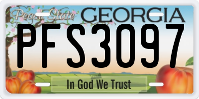 GA license plate PFS3097