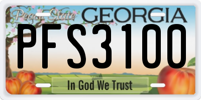 GA license plate PFS3100