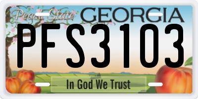 GA license plate PFS3103