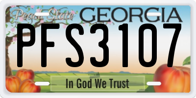 GA license plate PFS3107