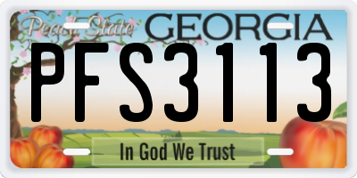 GA license plate PFS3113