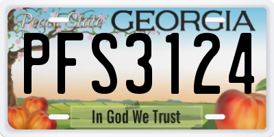 GA license plate PFS3124