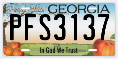 GA license plate PFS3137