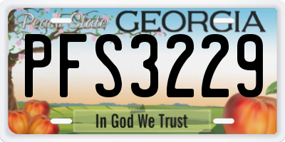 GA license plate PFS3229