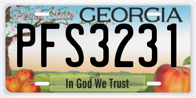 GA license plate PFS3231