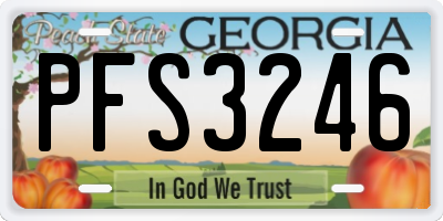 GA license plate PFS3246