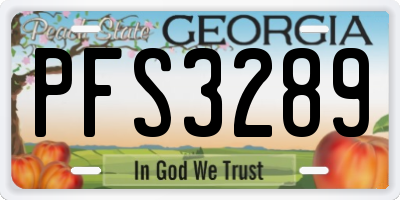 GA license plate PFS3289