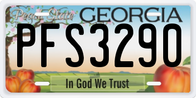 GA license plate PFS3290