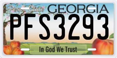 GA license plate PFS3293