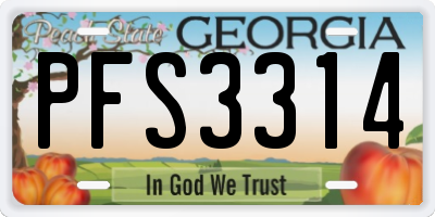 GA license plate PFS3314