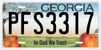GA license plate PFS3317