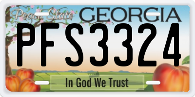 GA license plate PFS3324