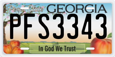 GA license plate PFS3343