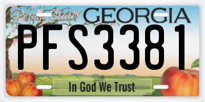 GA license plate PFS3381