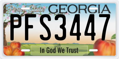 GA license plate PFS3447