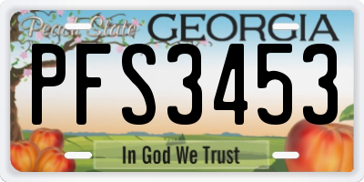 GA license plate PFS3453