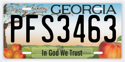 GA license plate PFS3463