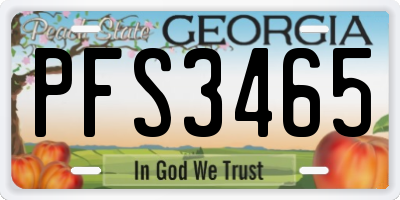 GA license plate PFS3465