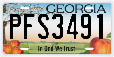 GA license plate PFS3491