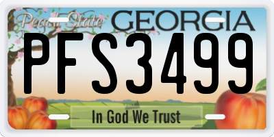 GA license plate PFS3499