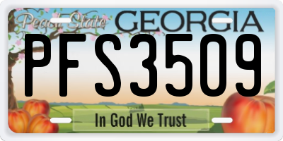 GA license plate PFS3509