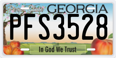 GA license plate PFS3528
