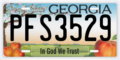 GA license plate PFS3529