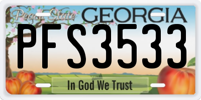 GA license plate PFS3533