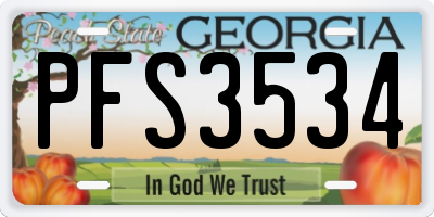 GA license plate PFS3534