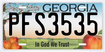 GA license plate PFS3535