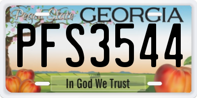 GA license plate PFS3544
