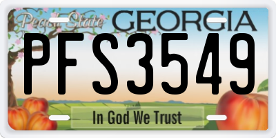 GA license plate PFS3549