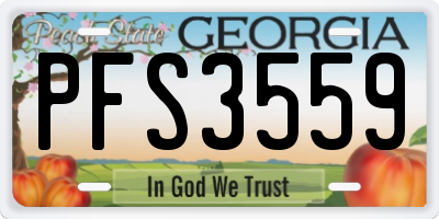 GA license plate PFS3559
