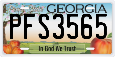 GA license plate PFS3565
