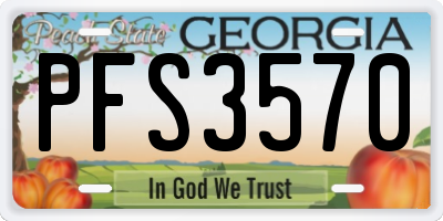 GA license plate PFS3570