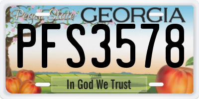 GA license plate PFS3578