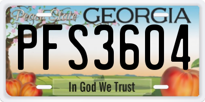 GA license plate PFS3604