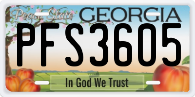 GA license plate PFS3605