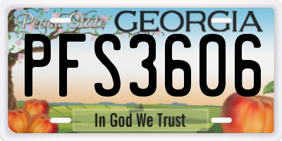 GA license plate PFS3606
