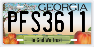 GA license plate PFS3611