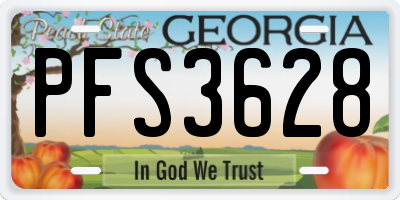 GA license plate PFS3628