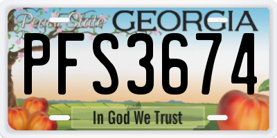 GA license plate PFS3674