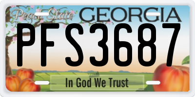 GA license plate PFS3687