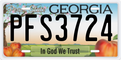 GA license plate PFS3724