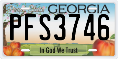 GA license plate PFS3746