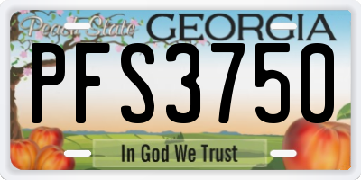 GA license plate PFS3750