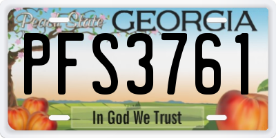 GA license plate PFS3761