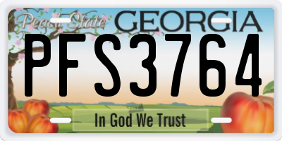 GA license plate PFS3764