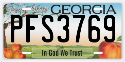 GA license plate PFS3769